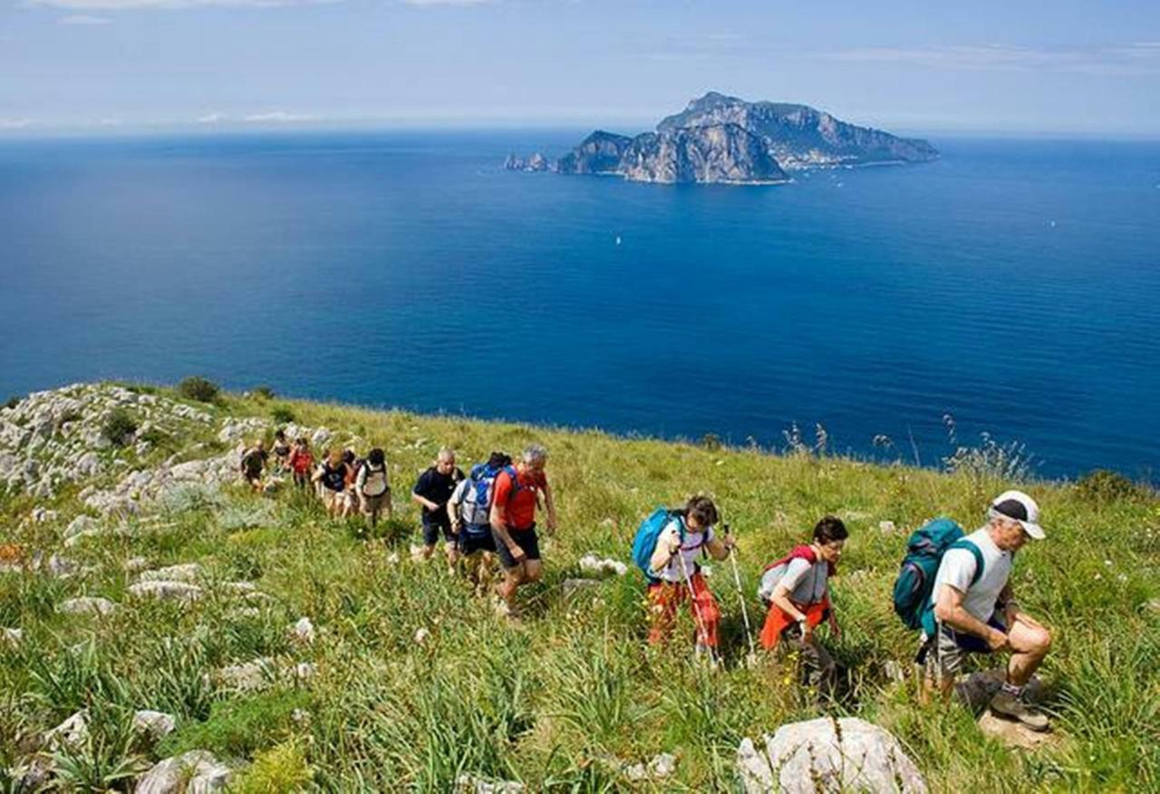 La Zagara Bianca Villa Massa Lubrense Exteriör bild