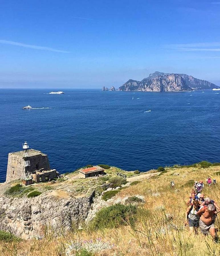La Zagara Bianca Villa Massa Lubrense Exteriör bild